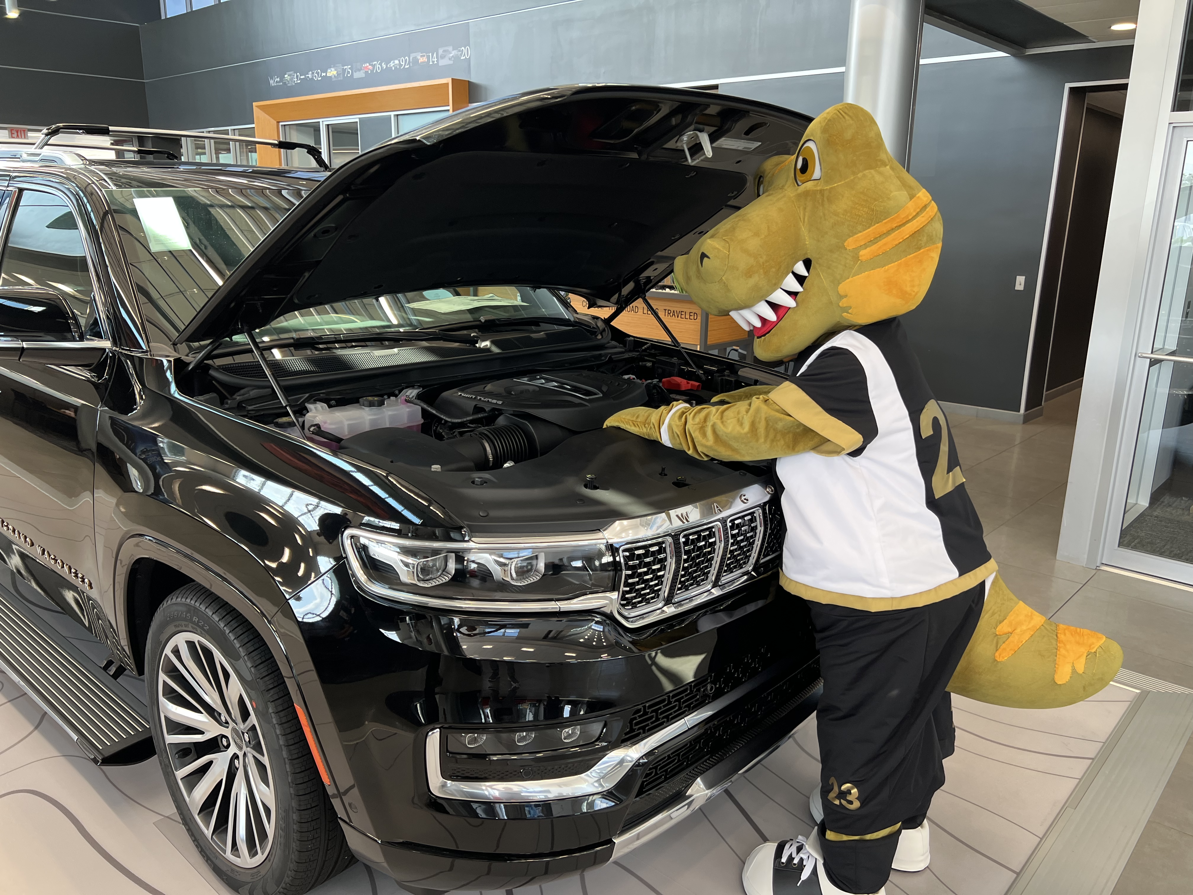 AutoNation 12