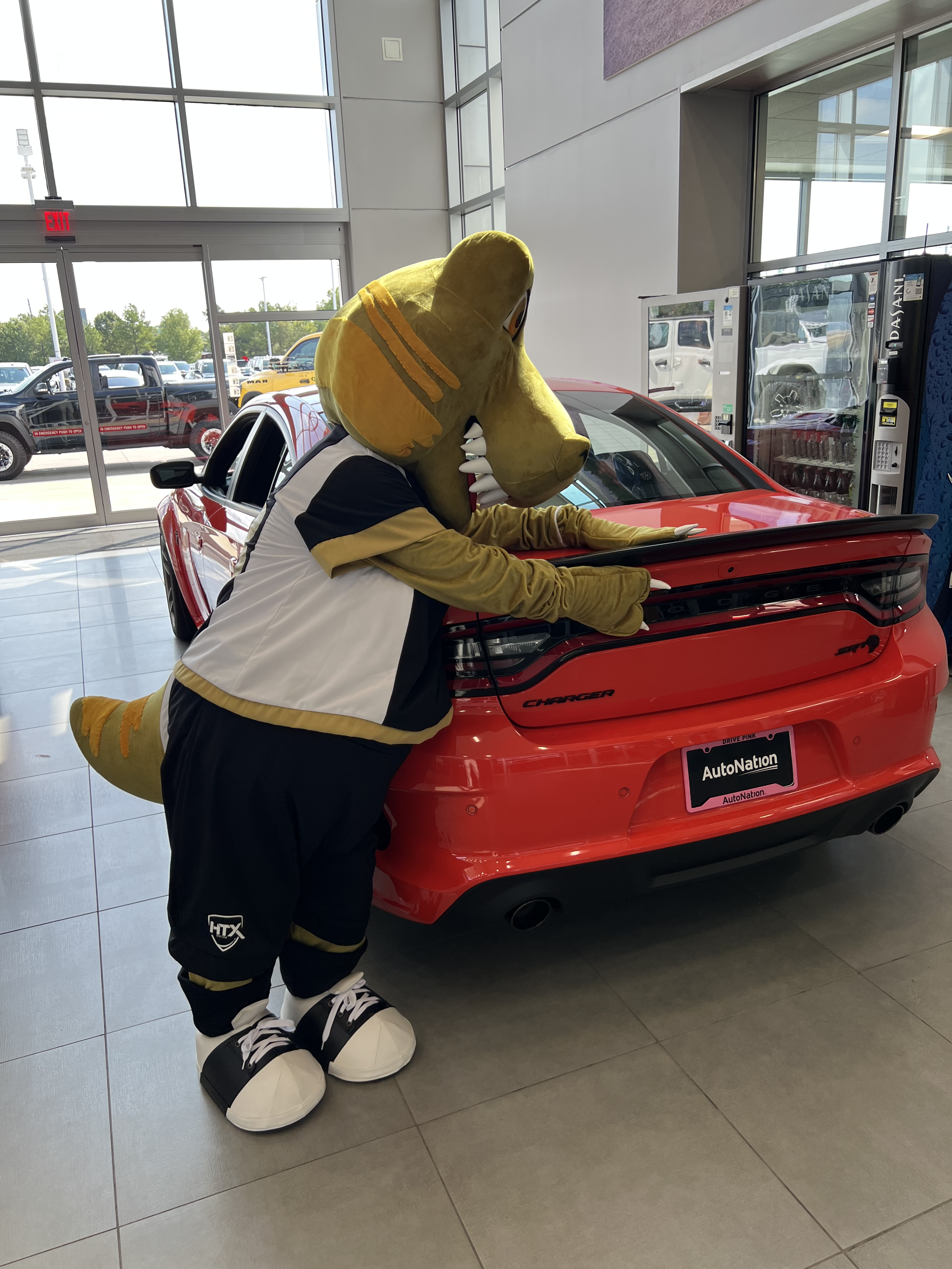 AutoNation 17